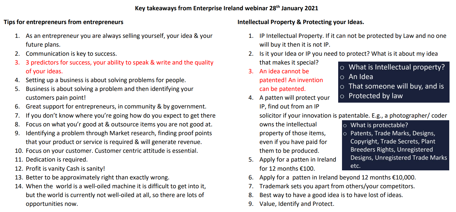 This image lists the main takeaway points from the 2021 Enterprise Ireland Webinar